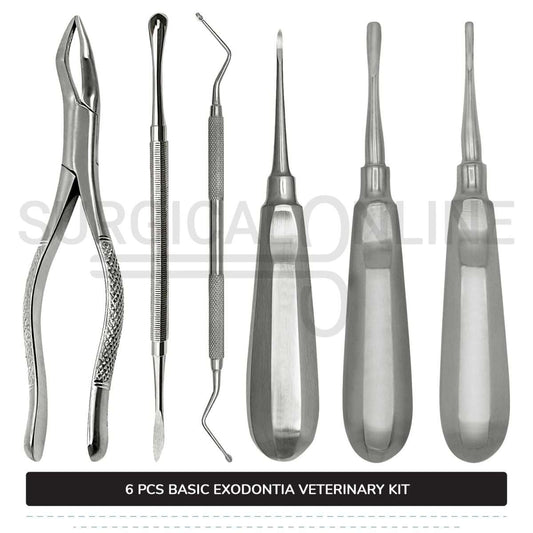 6 Pcs Basic Exodontia Set Stainless Steel Surgical Veterinary Instruments Kit