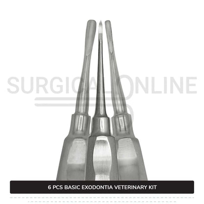 6 Pcs Basic Exodontia Set Stainless Steel Surgical Veterinary Instruments Kit