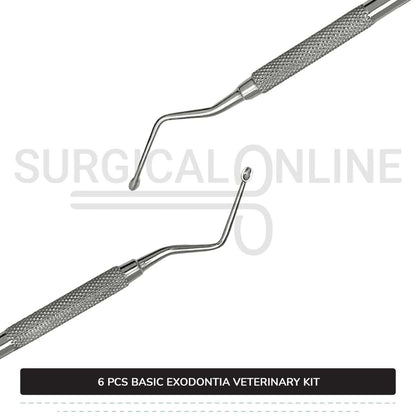 6 Pcs Basic Exodontia Set Stainless Steel Surgical Veterinary Instruments Kit