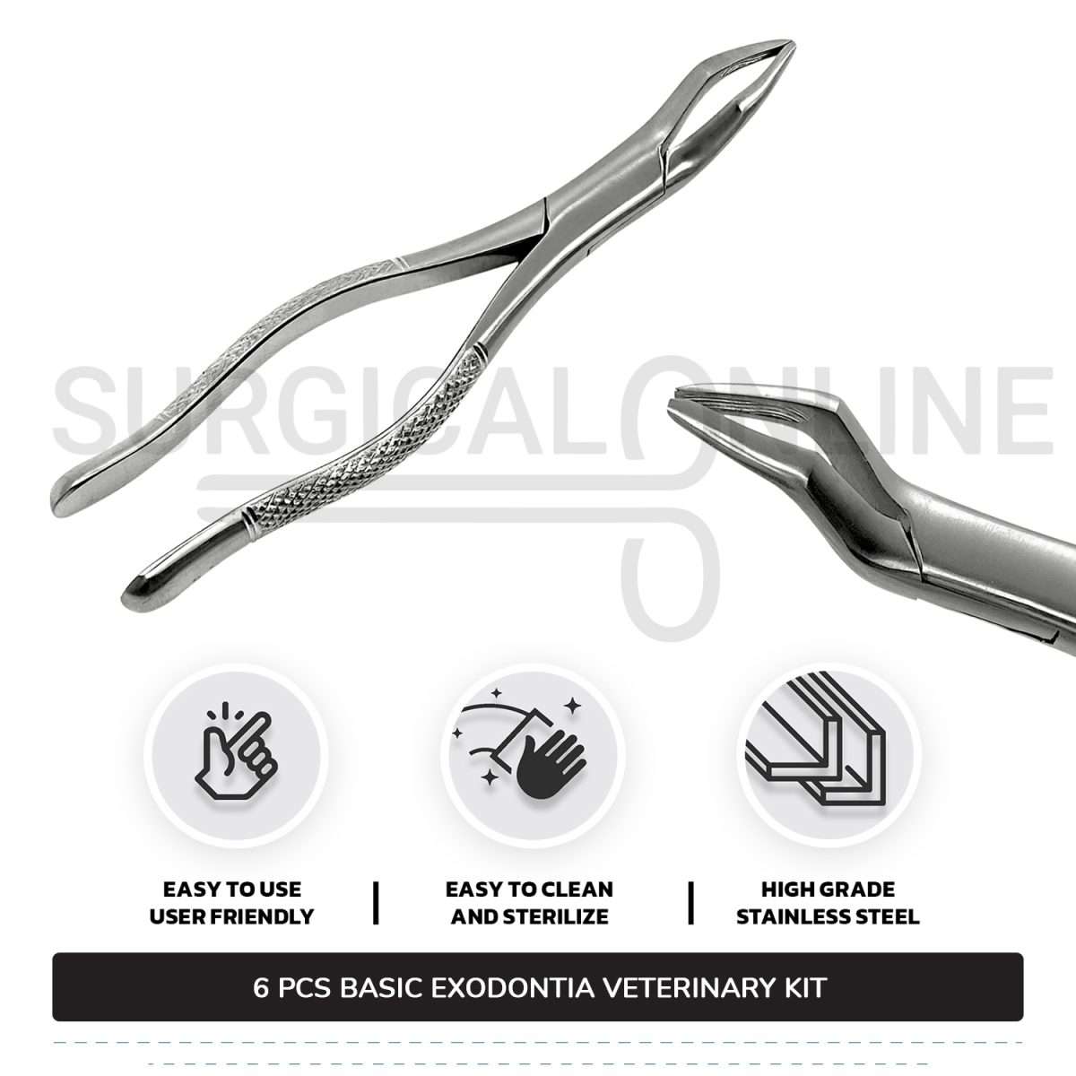 6 Pcs Basic Exodontia Set Stainless Steel Surgical Veterinary Instruments Kit