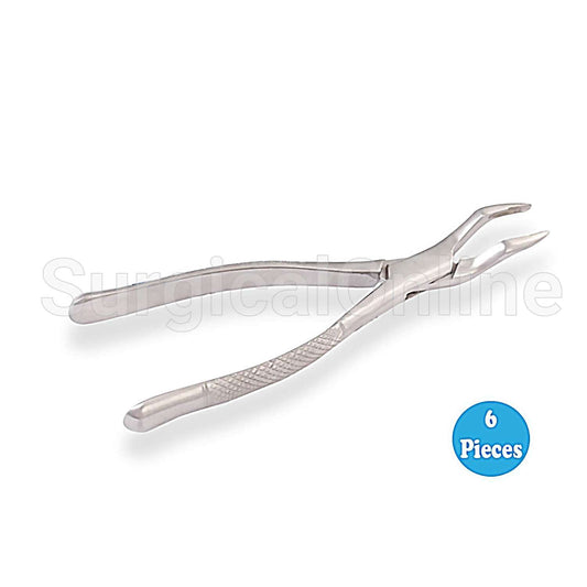 6 Dental Extracting Forceps 65 Dental Tools