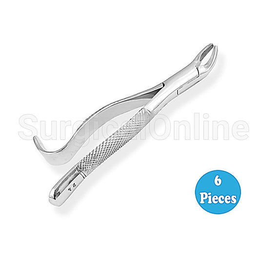 6 Dental Extracting Forceps No. 24 Dental