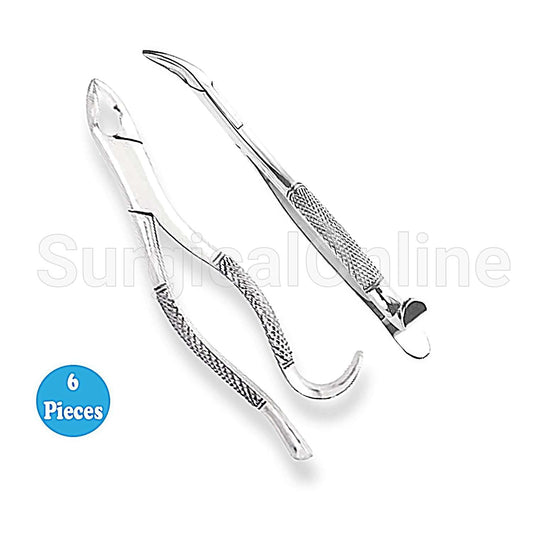 6 Tooth Extraction forcep #288 Surgical Dental