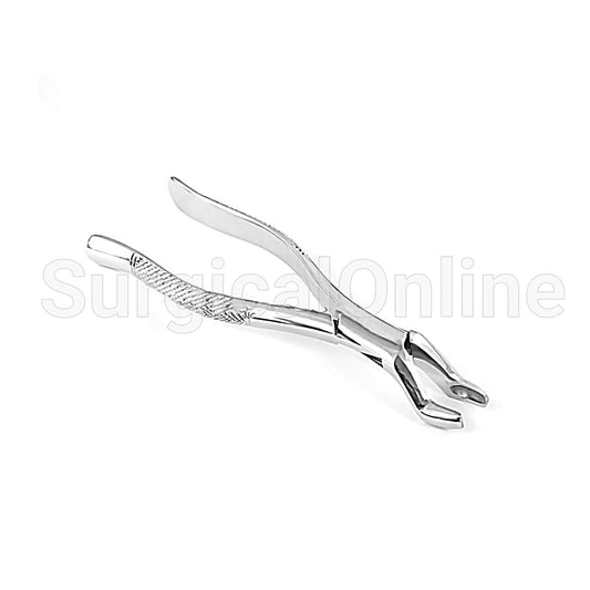 American Extracting Forceps No. 10S