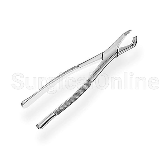 Dental Extracting Forceps 222 Dental Tools