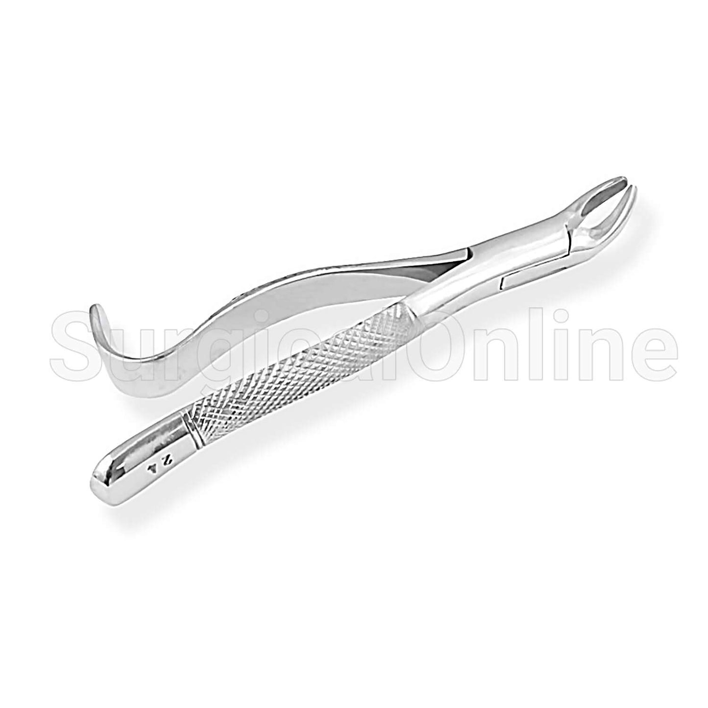 Dental Extracting Forceps No. 24 Dental