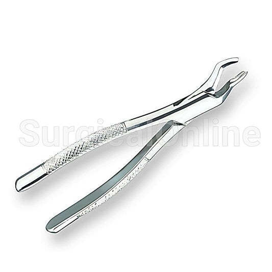 Extracting Forceps #53R Dental