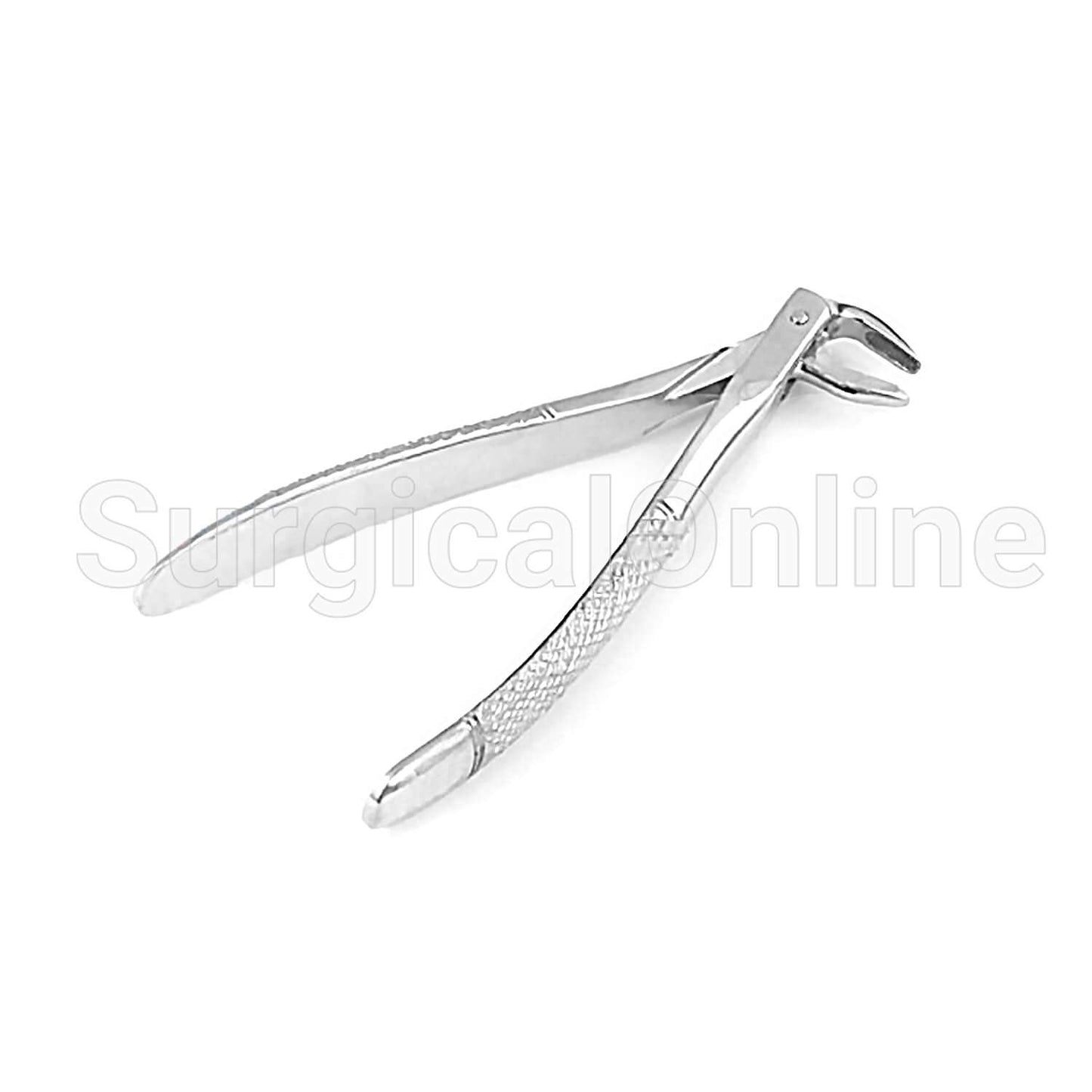 English Extracting Forceps No. 81