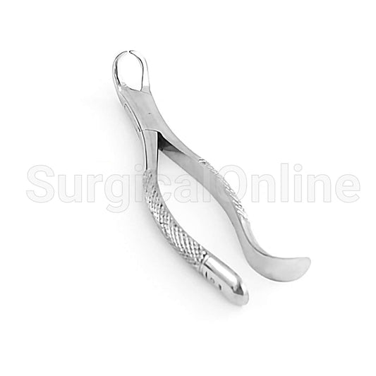 American Extracting Forceps No. 16S