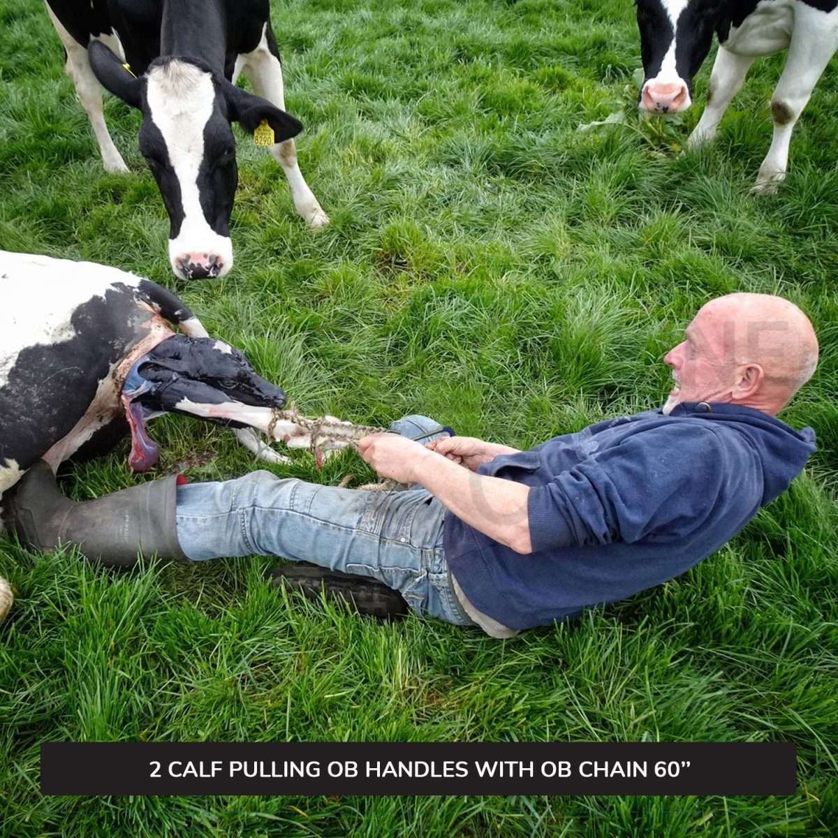 Calf Pulling Chain 60" With 2 Ob Hook Handles Cattle Birth Delivery Set Surgical Veterinary Instruments