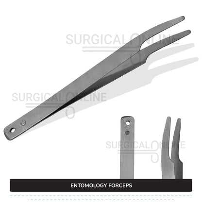 Entomology Forceps 4.5"