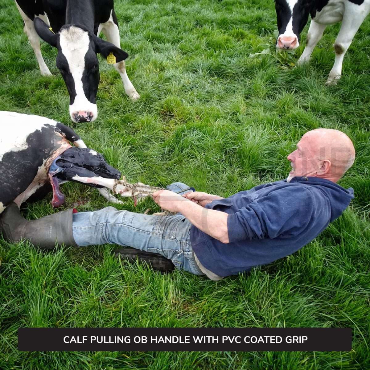 Ob Chain Handle For Calf Pulling Stainless Steel Cattle Birth Delivery Surgical Veterinary Instruments