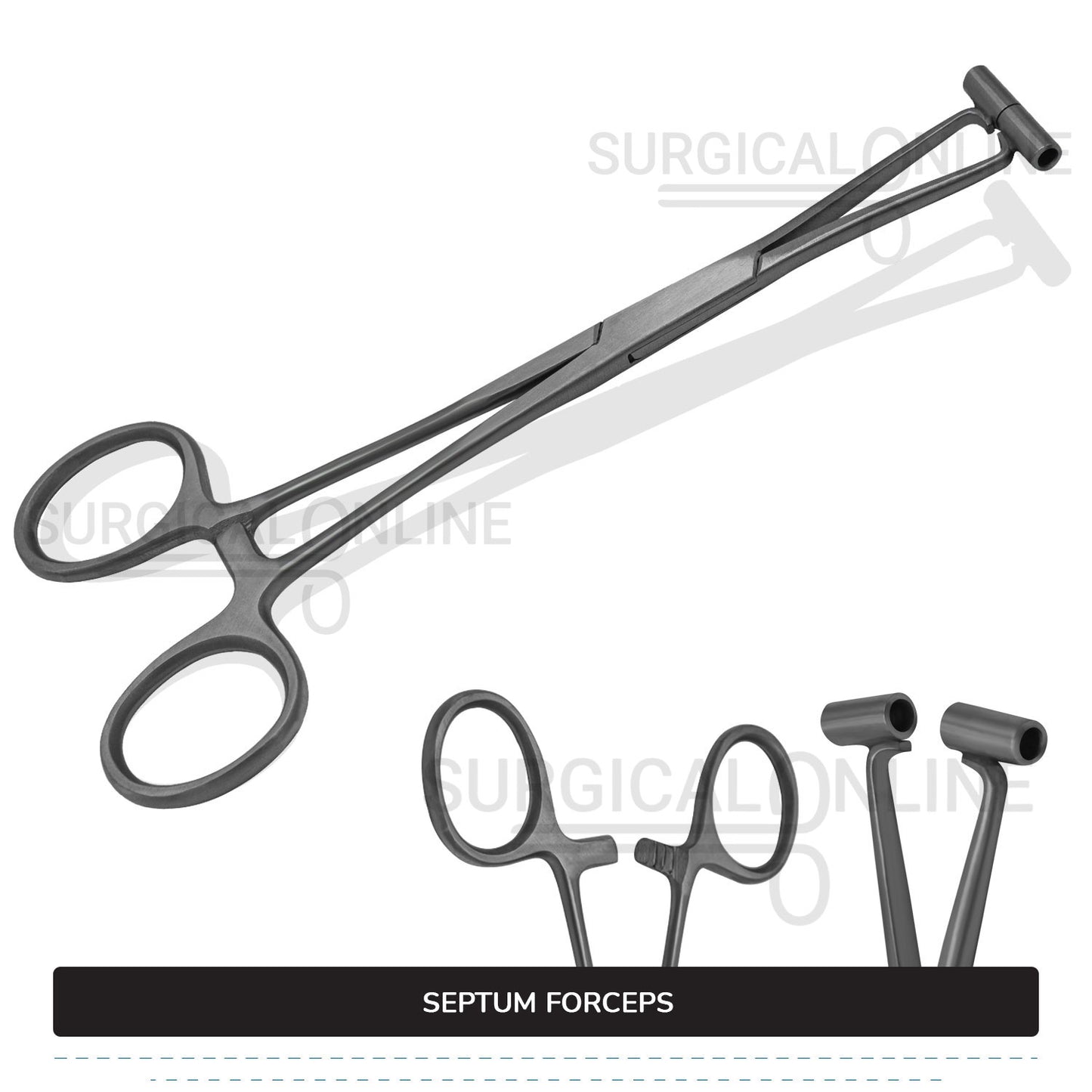 Septum Forceps 6″
